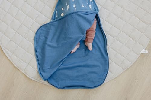Woolino 4 Season Ultimate Baby Sleep Sack, Merino Wool Baby Sleeping Bag, Organic Cotton Outer, Adjustable 2-24 Months Size Fits Infants & Toddlers - Hot Air Balloon