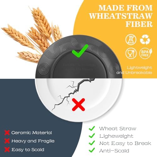 40 PCS Wheat Straw Dinnerware Set | Dish Sets for 8 - BlackBeige