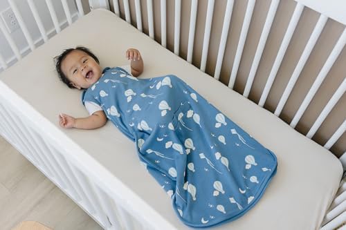 Woolino 4 Season Ultimate Baby Sleep Sack, Merino Wool Baby Sleeping Bag, Organic Cotton Outer, Adjustable 2-24 Months Size Fits Infants & Toddlers - Hot Air Balloon