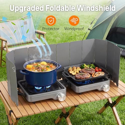 2-Burner Portable Propane Camping Stove,30000 BTU Foldable Gas Stove