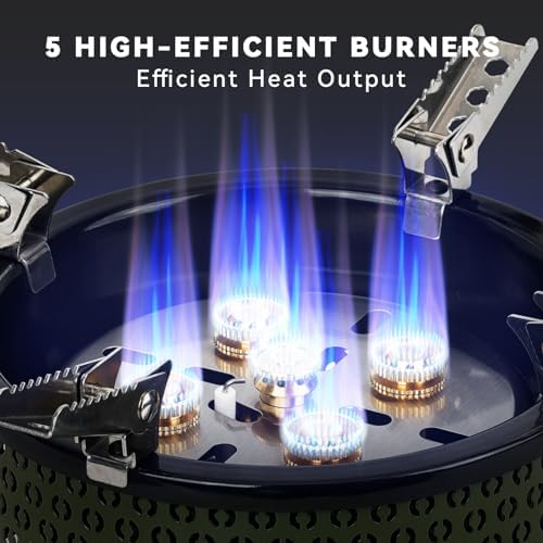 Portable Camping Gas Stove with Storage