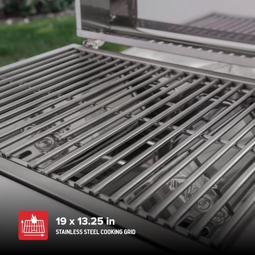 Nexgrill Tabletop 2 Burner Gas Grill, Stainless Steel with Folding Legs
