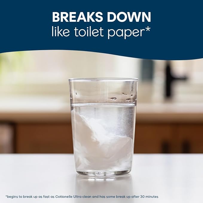 Cottonelle GentlePlus Flushable Wet Wipes with Aloe & Vitamin E, 6 Flip-Top Packs, 42 Wipes Per Pack (252 Total Wipes), Packaging May Vary