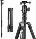 Fotopro 73" Carbon Fiber Tripod for Camera, Compact Travel Tripod with Ball Head, Detachable Monopod with Quick Release Plate and Camera Bag, Load up to 22lbs/10KG