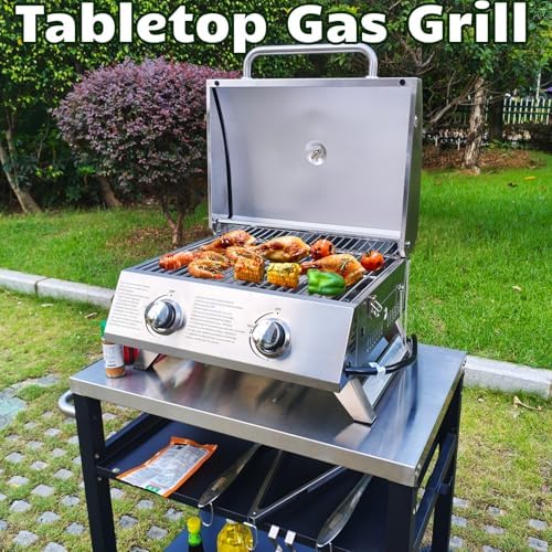 2-Burner Small Tabletop Gas Grill, 20,000 BTU Stainless Steel Grill