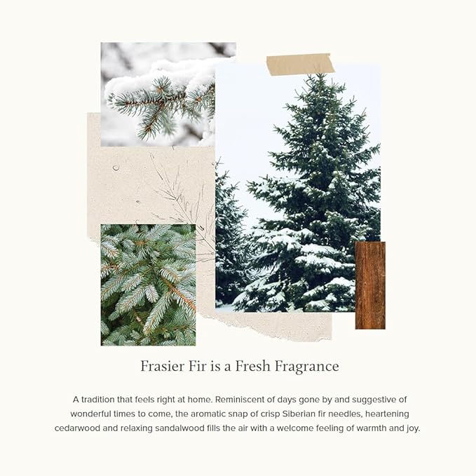 Thymes Frasier Fir All-Purpose Cleaning Wipes – Multi-Purpose Cleaning Wipes – Safe for Countertops, Walls, and Other Non-Porous Surfaces – Cruelty Free Surface Wipes (1 Pack of 48 Wipes)