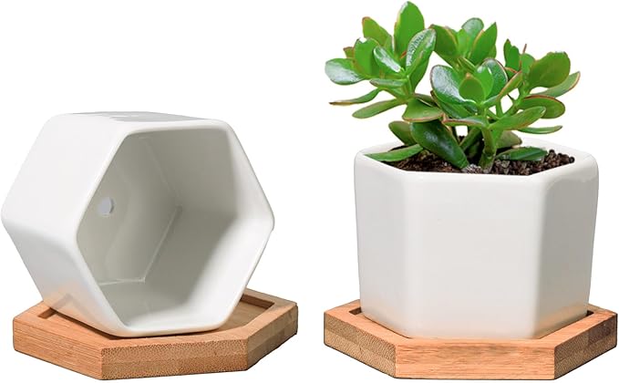 T4U Small White Succulent Planter Pots with Bamboo Tray Hexagon Set of 2, Geometric Ceramic Cactus Plant Holder, Succulent Plant Gifts for Gardener Women Coworker, Home Office Table Desk Decoration