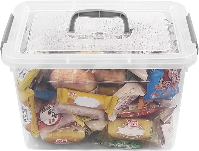 10 L Clear Plastic Storage Box, 6-Pack Storage Latch Box