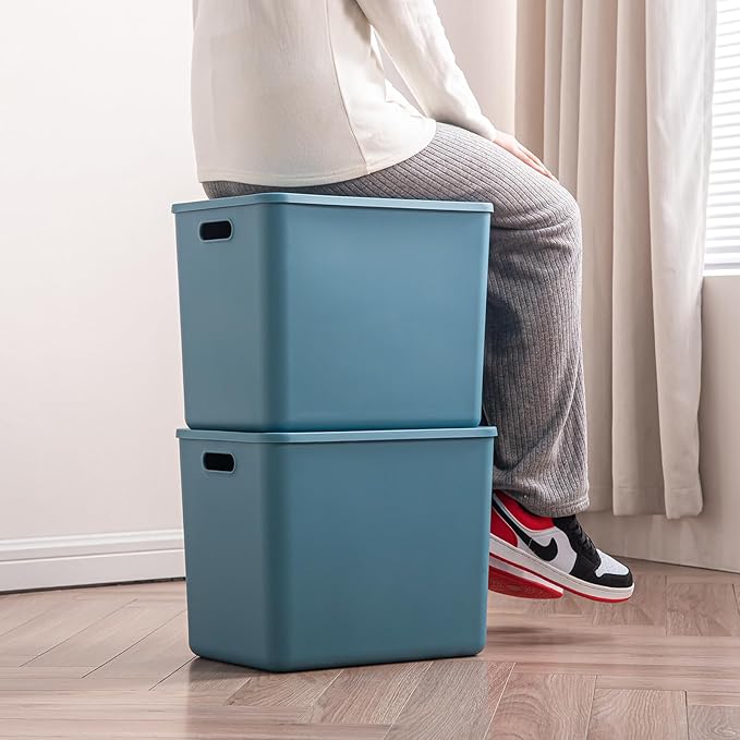 Plastic Storage Bins with lids,Storage Baskets,Container with handle,Storage Organizer Bins for Shelves,Office,Bedrooms,Closets, Cabinets (Blue, 5XL+2L)
