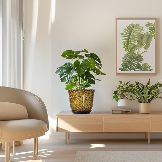 Ceramic Planter