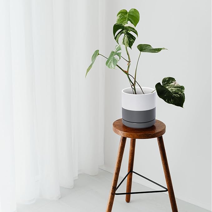 D'vine Dev 6.5 Inch Ceramic Planter Pot with Drainage Hole and Saucer, Indoor Cylinder Round Flower Pot, White/Speckled Grey, 94-O-C-6