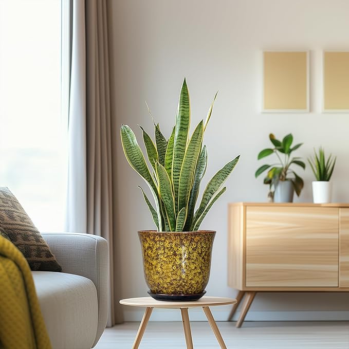 Ceramic Planter