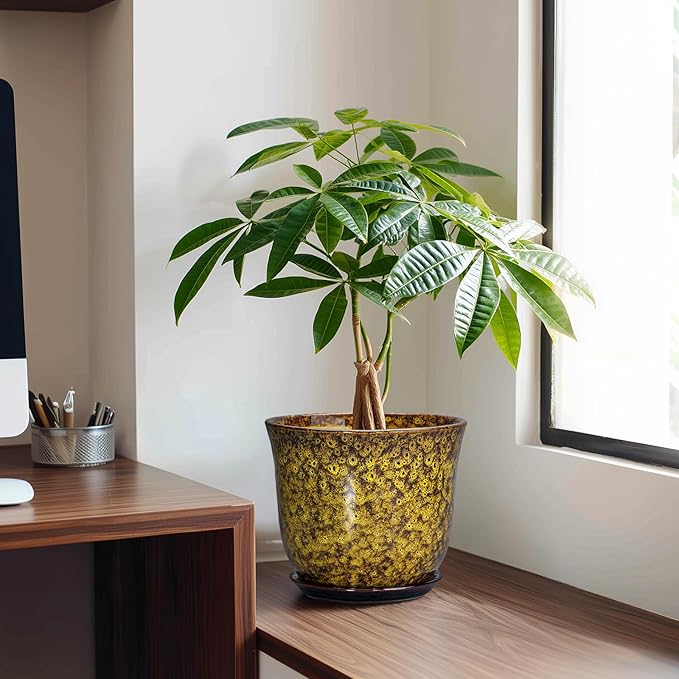 Ceramic Planter