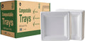 FSE 100% Compostable Square Tray Plates, 8 Inch, Heavy Duty Disposable Plates, Eco-Friendly Unbleached Bagasse, Microwave Safe, (Case of 500)