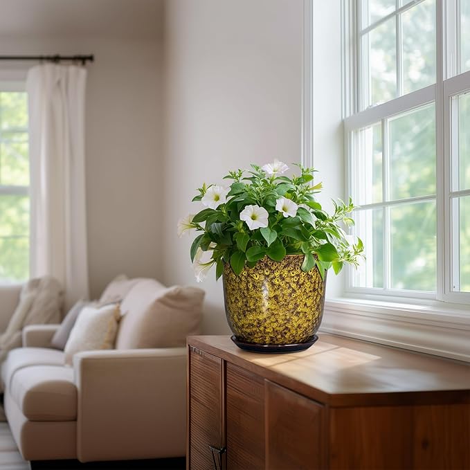 Ceramic Planter