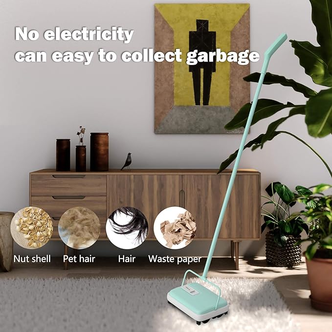 Eyliden Carpet Sweeper, Mini Size Lightweight Hand Push - No Noise, Non-Electric, Easy Manual Sweeping Only for Carpet Cleaning (Mint)