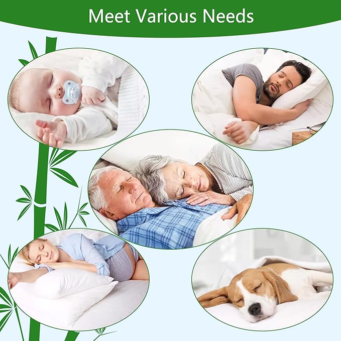 GOONIK Queen Mattress Protector, Breathable Bamboo Viscose Waterproof Queen Size Mattress Pad Cover with 6-18 inches Deep Pocket
