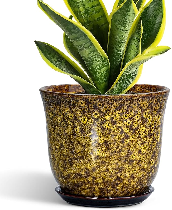Ceramic Planter