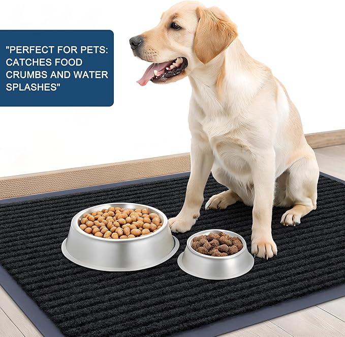 OLANLY Front Door Mat Indoor Outdoor Entrance, Waterproof Heavy Duty Doormat, Fade Resistant, Low Profile, Easy Clean Patio Porch Welcome Floor Mats for Entry, 29.5x17, Black