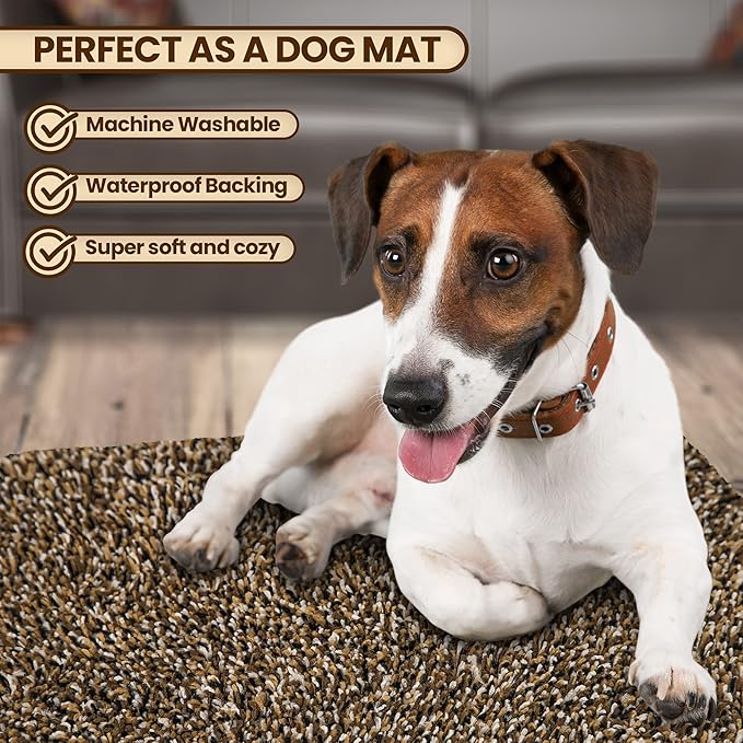 Premium Microfiber Indoor Door Mat – 36"x60" Washable Entry Mat, Non-Slip, Waterproof Backing, Super Absorbent, Low Profile Entryway Doormat for Indoor Entrance