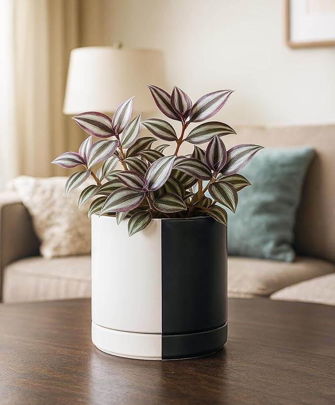 D'vine Dev 6.5 Inch Ceramic Planter Pot with Drainage Hole and Saucer, Indoor Cylinder Round Planter Pot, Split Monochrome Black & White, 94-O-C-0