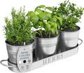 Barnyard Designs Indoor Herb Garden Planter Set