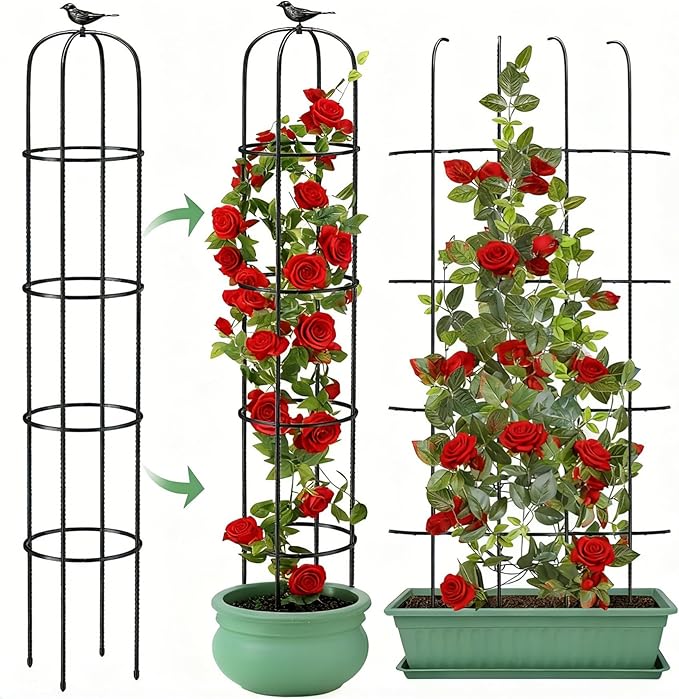 6.2ft Garden Obelisk Trellis for Climbing Plants Rustproof Metal Pipe