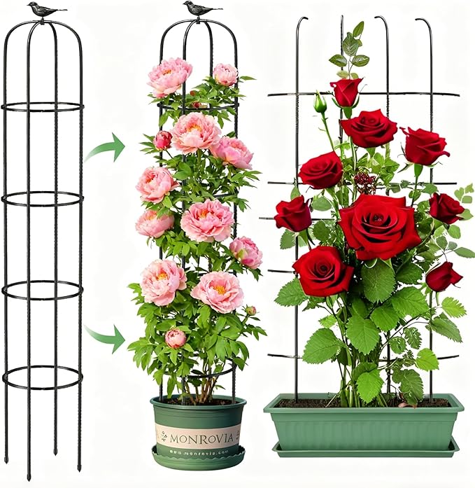 6.2ft Garden Obelisk Trellis for Climbing Plants Rustproof Metal Pipe