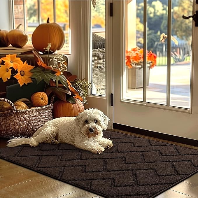 hicorfe Indoor Door Mat,Non Slip Door Mats,32"x48" Front Back Door Mat Rubber Backing,Absorbent Resist Dirt Entrance Inside Floor Mats for Entryway Washable Low-Profile(Coffee)