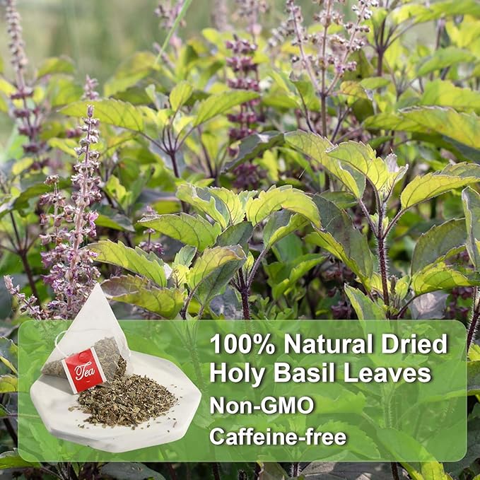 FullChea - Holy Basil Tea Bags, 40 Tulsi Teabags, 2g/bag - Premium Holy Basil Leaves - Non-GMO - Caffeine-free - Support Digestion & Boost Immunity